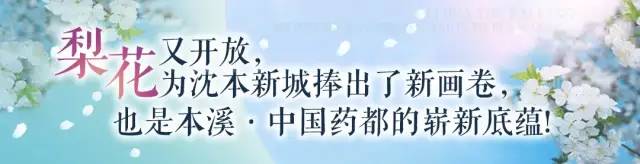 “梨花又开放”——全新中国药都欢迎您！