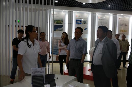 我市部分党代表就在稳增长中如何发挥堡垒作用争当模范先锋来高新区进行视察调研